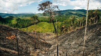 Colombia’s Frontline Environmental Defenders
